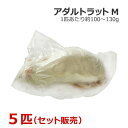 冷凍 アダルトラット Mサイズ 5匹(4)
