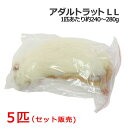冷凍 アダルトラット LLサイズ 5匹
