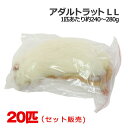 冷凍 アダルトラット LLサイズ 20匹