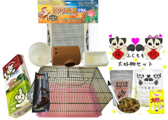 Rakuten - フクロモモンガ飼育セット NEW ミレニアムセットZ ヒーター付き