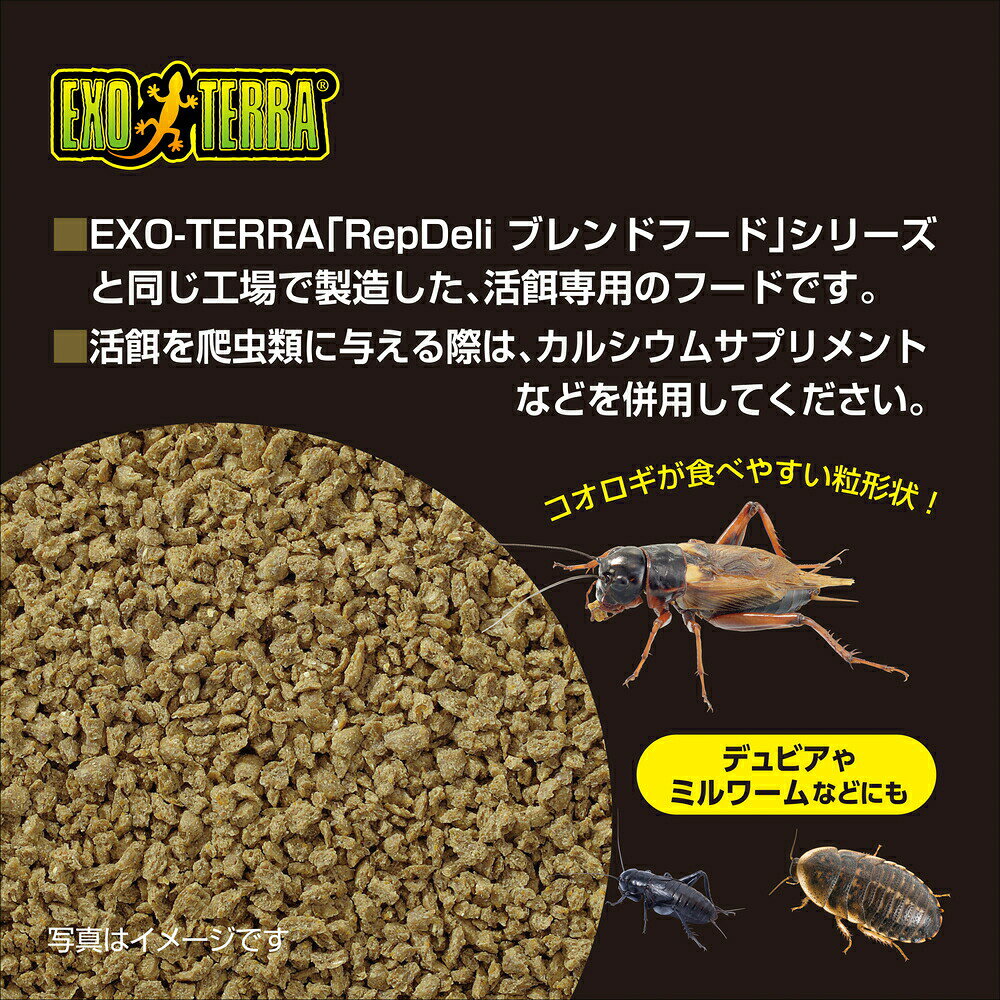 RepDeli コオロギブースター 45g　GEX
