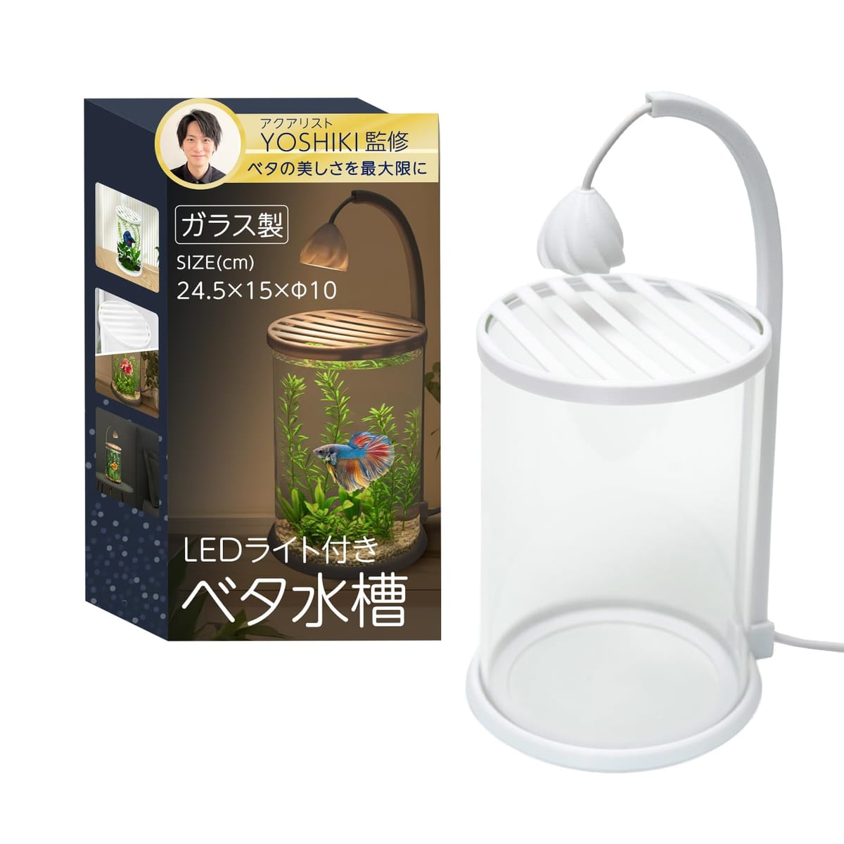 【アクアリスト監修】 ベタ 水槽 ガラス製 （直径10cm×高さ15cm） LEDライト付き 『初心者でも始めやすいセット』