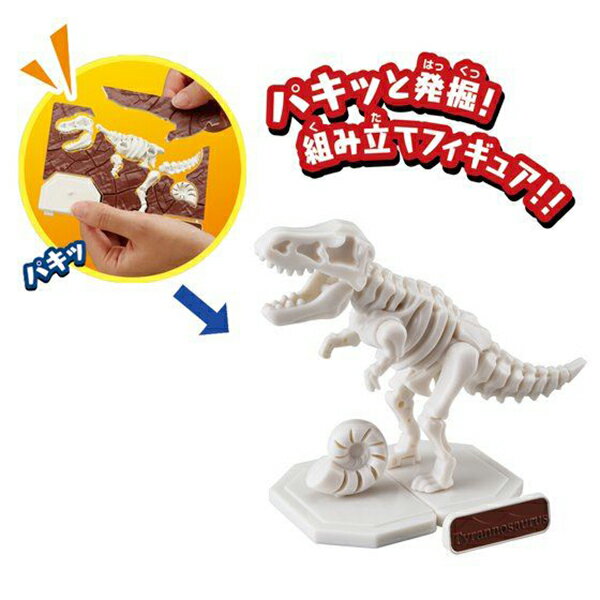 キャラパキ発掘恐竜 プラパキット 2種発売！