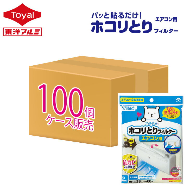(̵)()ѥäŽۥȤե륿2(100)(᡼Բ)