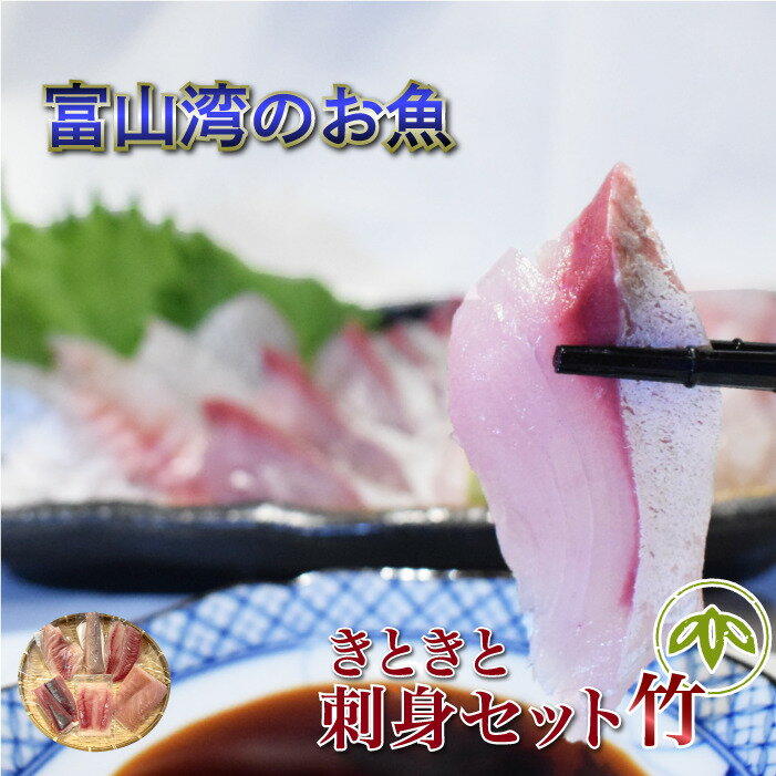 【送料無料】きときとお刺身セット 竹|富山 鮮魚 刺身 柵 