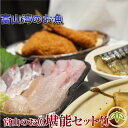 【送料無料】富山のお魚堪能セット 「竹」刺身・昆布締め・白エビ入り 6〜7種詰め合わせ|ギフト 誕生日 父の日 贈答 お祝いに