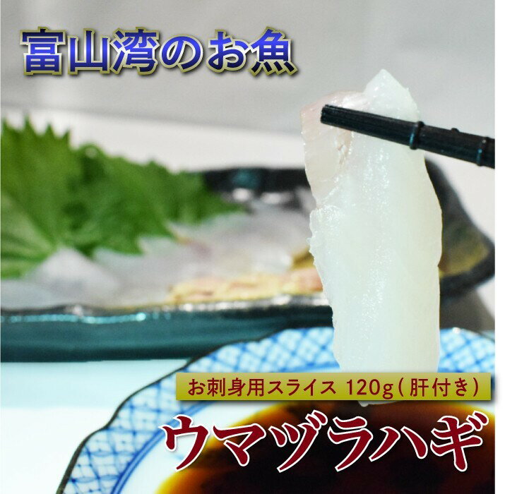 全国お取り寄せグルメ食品ランキング[その他水産物のその他(31～60位)]第55位