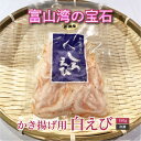 【お中元 夏ギフト】 150g 白えび殻付き |富山湾の宝石 しろえび かき揚げ 天ぷら 晩酌に 冷凍対応