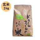 ≪ドリームファーム≫ 令和5年産【 玄米 3kg 】富山県産 コシヒカリ 黒部川扇状地で育ったドリームファームのこだわり米 厳選米 農家直送 送料無料