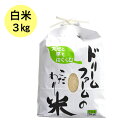 ≪ドリームファーム≫ 令和5年産【 精米 3kg 】富山県産 コシヒカリ 黒部川扇状地で育ったドリームファームのこだわり米 厳選米 農家直送 送料無料