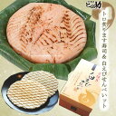 【ます寿司屋ヒロ助】トロ炙ります寿司と白エビ煎餅(箱入り20枚入)富山県名物のお取り寄せグルメギフト