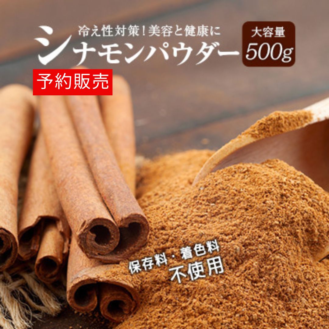 【新入荷しました！】シナモンパウダー500g 爽やかに甘い香味 スパイスの王様 送料無料【ポスト投函】