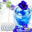 Ĥ ֥롼ϡ֥ƥ 10 5ĥå Хե饤ԡ  SNS Ѥ ơ butterfly pea ŷϡ֡вġءۡפ򸫤