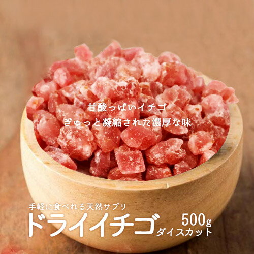 ドライフルーツ ストロベリーダイスカット500g イチゴ 製菓材料 製パン材料 ヨーグルト いちご 送料無料 ポスト投函 1