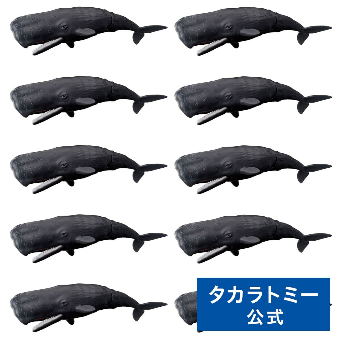 アニア AL-34 マッコウクジラ（水に浮くVer.） 10体セット | タカラトミー アニア おもちゃ こども 子供 動物 恐竜 昆虫 ギフト セット