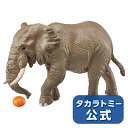 アニアAS-02アフリカゾウ(オレンジ付き) | タカラトミー アニア おもちゃ こども 子供 動物 恐竜 昆虫 ギフト プレゼント