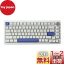 DrunkDeer A75 ラピッドトリガー キーボード メカニカル 82キー PBTキーキャップ ホワイト 磁気スイッチ OEMプロファイル ダブルショット カスタム(2)