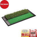 Tabata(タバタ) ゴルフ ショットマット ショット用マット ゴルフ練習用マット ショット&ラフマット 2WAY アプローチパンチャー GV0260