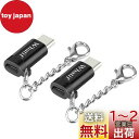 【2点セット】Whatif LightningからUSB-C 変換アダプタ 充電と高速データ転送 アルミニウム合金製 チェーン付き