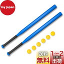 Hikeen 野球バット プラスチックバット 野球 練習用 学習用 バット 子供用 ティーンエイジャー 軽量 滑り止め付き ホームランセット 甲子園 2本セット...