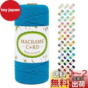 LEREATI マクラメロープ 3mm x 100m ナチュラルコットン マクラメ 糸 マクラメ 紐 綿糸 太毛糸 DIY 手編みロープ 壁掛け 鉢植え装飾 編...