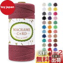 LEREATI マクラメロープ 2mm x 200m マクラメ糸 綿ロープ yarn コットンロープ 綿糸 ひもめんマクラメ 紐 DIY 手編みロープ, 壁掛け, 鉢植え装飾, 編み物, 工芸品 (ラストレッド)