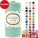 LEREATI マクラメロープ 2mm x 200m マクラメ糸 綿ロープ yarn コットンロープ 綿糸 ひもめんマクラメ 紐 DIY 手編みロープ, 壁掛け, 鉢植え装飾, 編み物, 工芸品 (ミントグリーン)