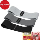 TheFitLife ヒップバンド 美尻 高耐久 トレーニングチューブ ストレッチ 内転筋 レジスタンスバンド トレーニング器具 エクササイズ 肌に優しい 筋トレ 軽量 フィットネス ヒップアップ ?力? 持ち運びやすい (ライトグレー/グレー/ブラック)