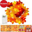 DERAYEE 秋の葉 ガーランド ハロウィン クリスマス 飾り 人工 紅葉 電池式 20個のLED 長さ3M ストリングライト ホーム 暖炉 (多色)
