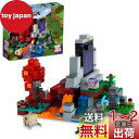 レゴ(LEGO) マインクラフト 荒廃したポータル ギフト 21172 おもちゃ ブロック クリスマスプレゼント 誕生日プレゼント テレビゲーム 男の子 女の子 8歳以上