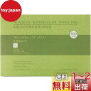MEEDEN 画用紙 水彩紙 20枚入 中目(冷間圧紙)8K規格 380×260mm 超厚口300g 100%コットン無酸 水彩画紙 水彩絵具/水彩毛筆/水性ペ...