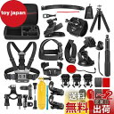 NEEWER 50 in 1 アクションカメラアクセサリーキットコンパチブルGoPro Hero 13 12 11 DJI OSMO 4 3 2 Insta360 X4 X3 SJCAM AKASO VicTsing APEMAN Campark Sports DV GP-10アクションカメラポールマウント付き