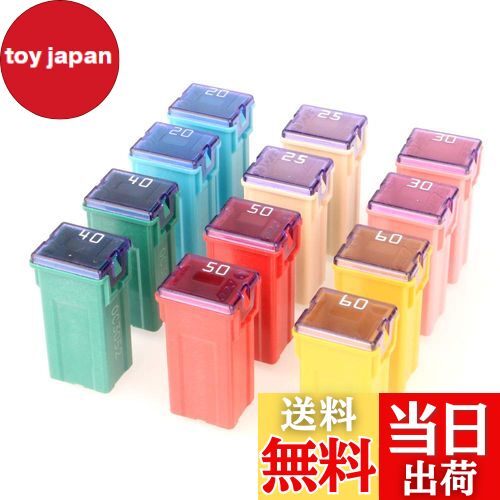 【送料無料】Kiligen 12個 12V-24V トラック、車、SUV用の自動車用トールプロファイルJcaseボックス型各種ヒューズ、ボート（20A/25A/30A/40A/50A/60A、各2個）