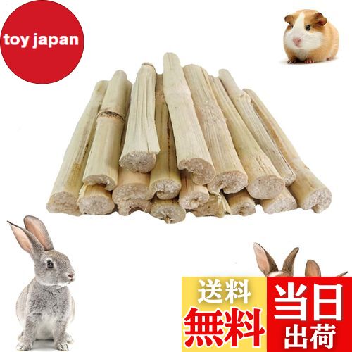 【送料無料】YIBOOOM 100g入りりんご枝 うさぎ おもちゃ かじり ハムスター おやつ チンチラ かじり木 ..