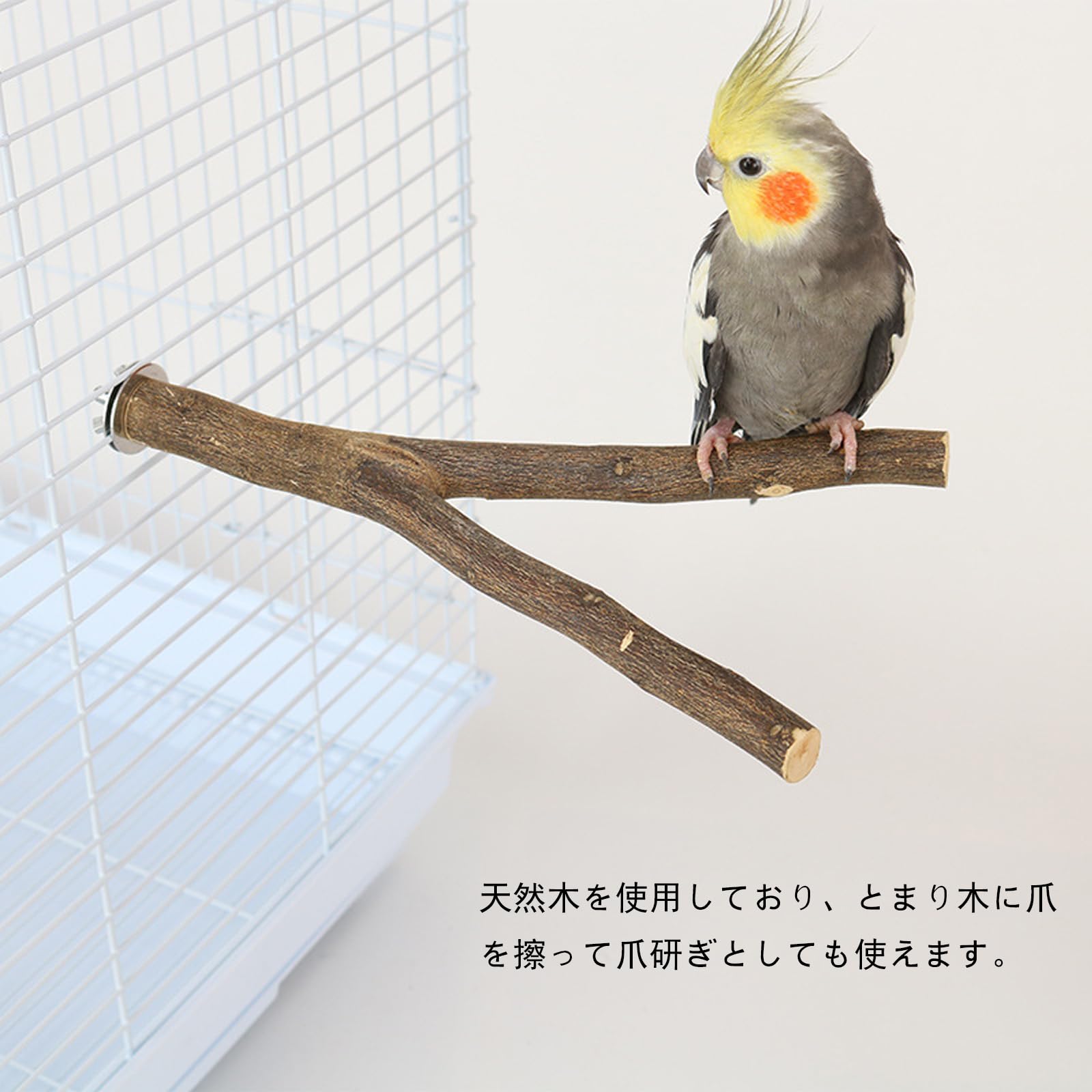 toy japanの【送料無料】YINKE 止まり木 止まり台 爪を磨くりんごの木 自然木 爪を研ぎ パーチ インコ オウム 鳥 オウム 文鳥 おやすみボード 噛むおもちゃ ケージスタンド ケージアクセサリー 鳥栖 ストレス解消 取り付け簡単｜アングル3