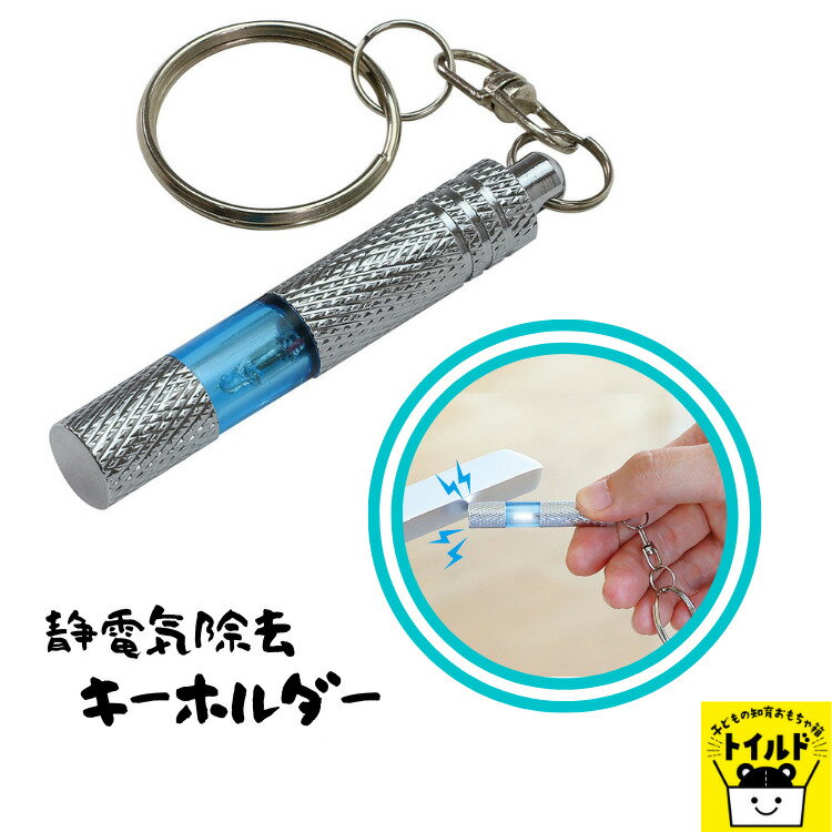 おうち時間【3980円送料無料】 静電気除去グッズ 静電気除去 キーホルダー 車ドア ドアノブ 静電気 除去 静電気除去キーホルダー コンパクト キーチェーン カーアクセサリー