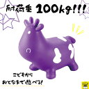 おうち時間【3980円送料無料】バランス うし 乗る トレーニング レインボー マルチカラー バランスボード 屋内 屋外 子ども おもちゃ バランス感覚 筋力 ...