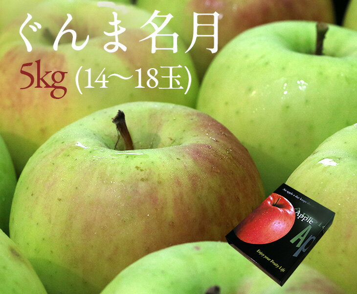 【送料無料】秋田県産 ぐんま名月【5kg(14〜18玉入)】【秋田県 ぐんま名月 りんご リンゴ 贈答用 お中元 贈り物 ギフト お歳暮 フルー..