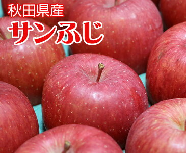 【送料無料】秋田県産 サンふじ 糖度13度以上(5kg 16〜18玉入)【サンふじ りんご 秋田県 家庭用 贈り物 贈答 お祝い お返し お歳暮 フルーツ お取り寄せ うまい 果物】