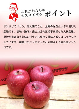 【送料無料】秋田県産 サンふじ 糖度13度以上(5kg 16〜18玉入)【サンふじ りんご 秋田県 家庭用 贈り物 贈答 お祝い お返し お歳暮 フルーツ お取り寄せ うまい 果物】