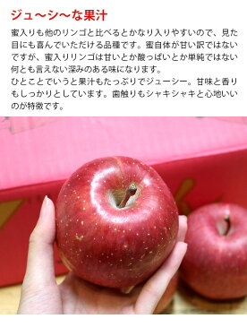 【送料無料】秋田県産 サンふじ 糖度13度以上(5kg 16〜18玉入)【サンふじ りんご 秋田県 家庭用 贈り物 贈答 お祝い お返し お歳暮 フルーツ お取り寄せ うまい 果物】