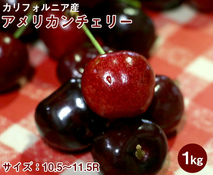 内のしのみ対応可能です。 必要なお客様はカート上の選択肢よりお選び下さい。 ●商品名 アメリカ カリフォルニア産 アメリカンチェリー 1kg &nbsp; ●商品紹介 日本で一般的なさくらんぼよりも大きめで、皮も果実も赤黒いことが特徴です。...