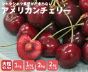 【送料無料】 アメリカ産アメリカンチェリー 10.5Rサイズ 1kg~2kgアメリカ ダークチェリー さくらんぼ サクランボ チェリー 新鮮 家庭用 贈り物 贈答 お祝い お中元 お返し フルーツ お取り寄せ うまい 果物