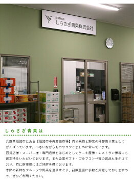 【送料無料】和歌山県産 有田みかん 味エース【約7.5kg Mサイズ】糖度11.5度以上【味エース 寄り上げ品 贈答用 お中元 贈り物 ギフト 進物 自宅用 お歳暮 フルーツ お取り寄せ うまい 果物】