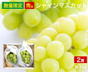 【送料無料】シャインマスカット 秀品 2房 約1kg 山梨県 福岡県 鳥取県 皮ごと 種なし ぶどう ブドウ 葡萄 シャイン マスカット セット 家庭用 贈り物 贈答 お祝い お返し フルーツ お取り寄せ うまい 果物