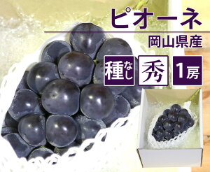 【送料無料】【国産】岡山県産　ピオーネ 【 1房 】（800g以上）【岡山県産 ぶどう 種なし ブドウ 葡萄 ピオーネ 大粒 種なし たねなし 家庭用 贈り物 贈答 お祝い 1房（800g以上） 一房 プチ ギフト お返し 秀 フルーツ お取り寄せ うまい 果物】