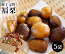 【送料無料】中国産 樹上完熟 福栗 天津甘栗【 100g 2袋×5大袋 】【 栗 くり 甘栗 むき甘栗 むき栗 マロン 家庭用 贈り物 贈答 お祝い お返し 果...