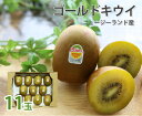 【送料無料】ニュージーランド産 ゴールドキウイ(11玉)(22) 【ニュージーランド産 ゴールドキウイ キウイ 高級 プレゼント 夏 プレミアム 特別 高級 ギ...