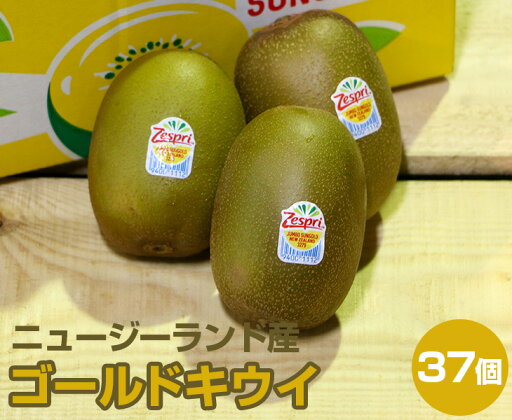ニュージーランド産 ゴールドキウイ大箱【 22サイズ 37玉入】【 ニュージーランド ゴールドキウイ キウイ たっぷり 家庭用 贈り物 贈答 お祝い お返し ギフト 甘い プレゼント フルーツ お取り寄せ うまい 果物 】 ニュージーランド産 ゴールドキウイ大箱【 22サイズ 37玉入】【 ニュージーランド ゴールドキウイ キウイ たっぷり 家庭用 贈り物 贈答 お祝い お返し ギフト 甘い プレゼント フルーツ お取り寄せ うまい 果物 】