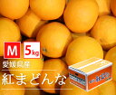 【今が旬】【国産】愛媛県産 紅まどんな Mサイズ【 5kg ...